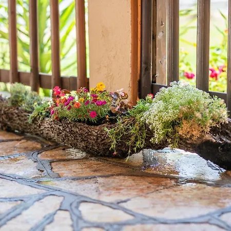 Yiannitsis - Sunset By The Sea, Acharavi Feriehus *